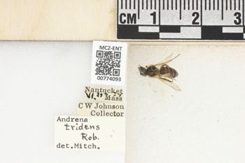 Media type: image;   Entomology 774093 Aspect: Labels